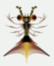 nodebox-filters-blur